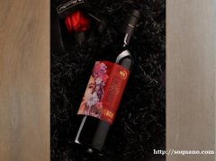 绯虹红酒品牌翁虹自创国产赤霞珠干红葡萄酒750ml