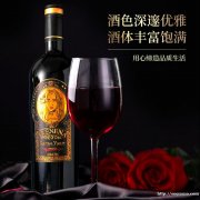 智利进口IRENENA红酒温碧霞代言的美乐酒庄葡萄酒干红