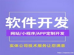 南昌能设计制作开发网站小程序APP软件公司