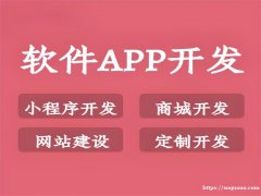 南昌全技术开发软件APP小程序商城网站