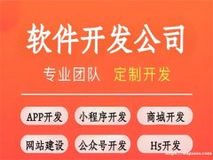 南昌全技术开发软件APP小程序商城网站