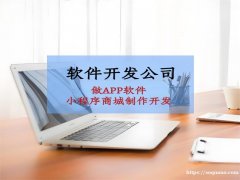 南昌提供软件APP开发小程序商城制作的公司