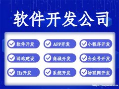 南昌做软件做APP做网站做小程序开发公司