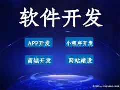 软件开发选百恒科技,南昌小程序商城APP制作