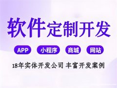 南昌以需求开发软件公司,小程序商城APP制作