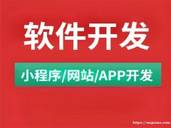 南昌软件技术服务公司,南昌做小程序APP开发